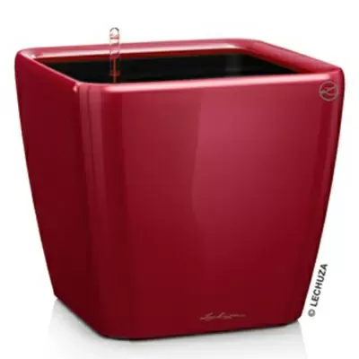 Кашпо Lechuza Quadro LS