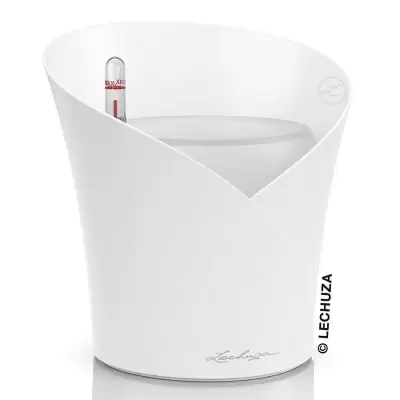 Кашпо Lechuza Orchidea