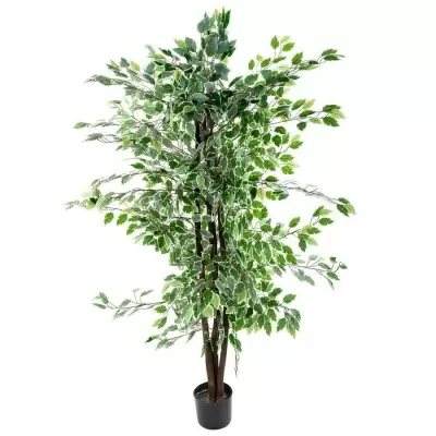 Фикус бенджамина Старлайт искусственный