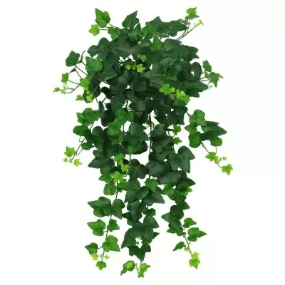 Искусственный Плющ пестрый