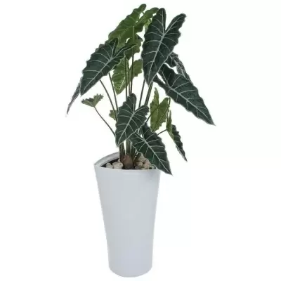 Искусственное растение Алоказия в горшке Crater Silk