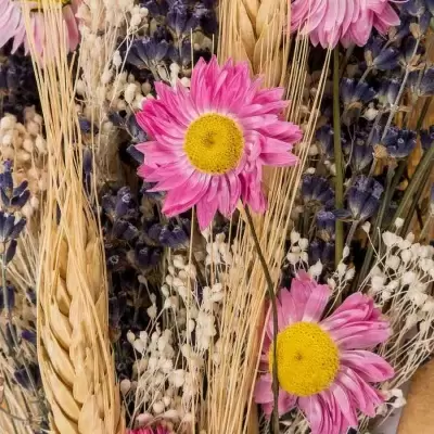 Стабилизированный букет Лаванда с розовой пшеницей и акролинумом