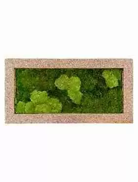 Панно из стабилизированного мха Moss painting Naturescast Панно из стабилизированного мха Moss painting Naturescast