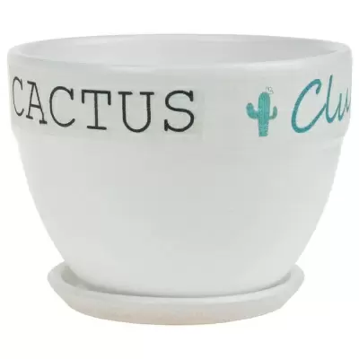 Кашпо White Cactus