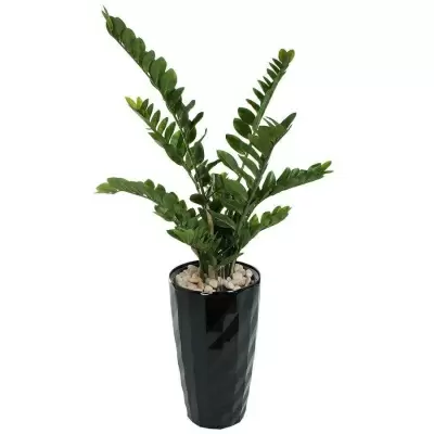 НоменклатураПрисоединенныеФайлы