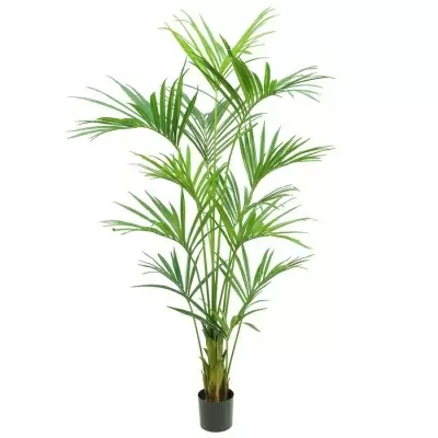 Пальма Кентия искусственная