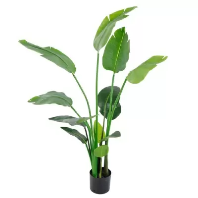 Стрелиция искусственная