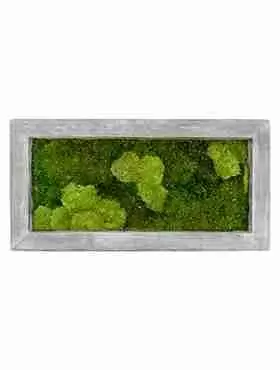 Панно из стабилизированного мха Moss painting Raw Панно из стабилизированного мха Moss painting Raw