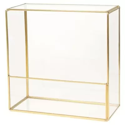 Флорариум стеклянный Швитцер