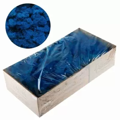 Мох стабилизированный синий Мох стабилизированный синий