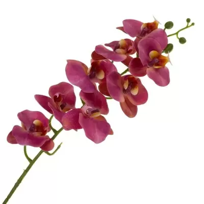 Фаленопсис силиконовый