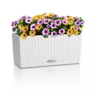 Кашпо Lechuza Balconera Cottage 40