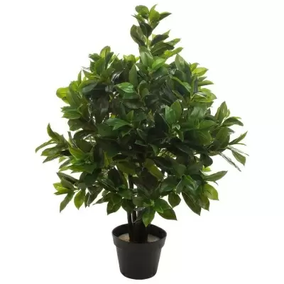 Лавр искусственное дерево