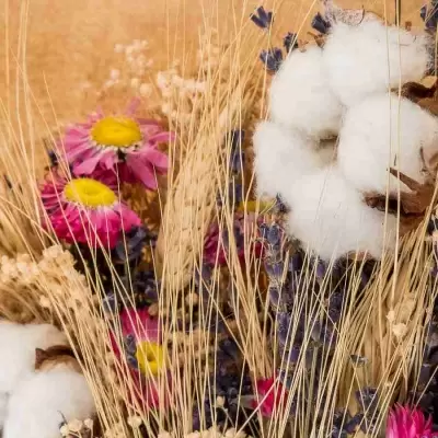 Стабилизированный букет Лаванда с белым хлопком, пшеницей и акролинумом