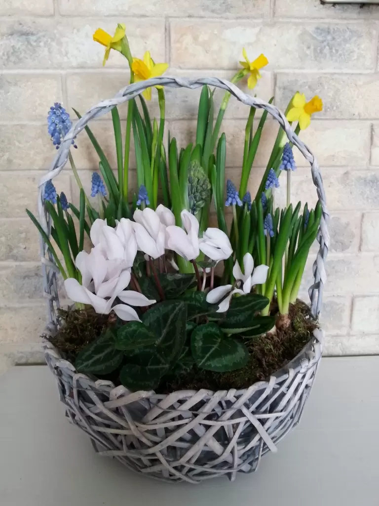 20180305_100902.jpg 20180305_100902.jpg