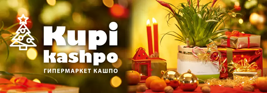 KupiKashpoRu_New_Year_2017_2018_Logo KupiKashpoRu