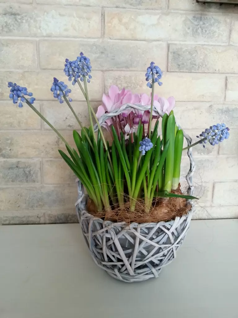 20180307_131720.jpg 20180307_131720.jpg