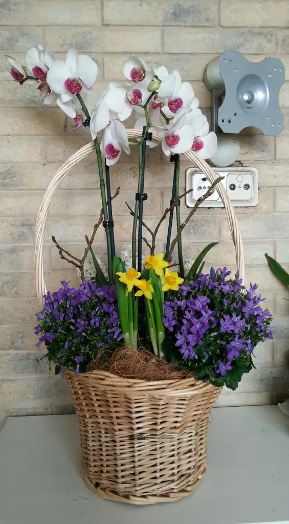 20180305_101207-1.jpg 20180305_101207-1.jpg