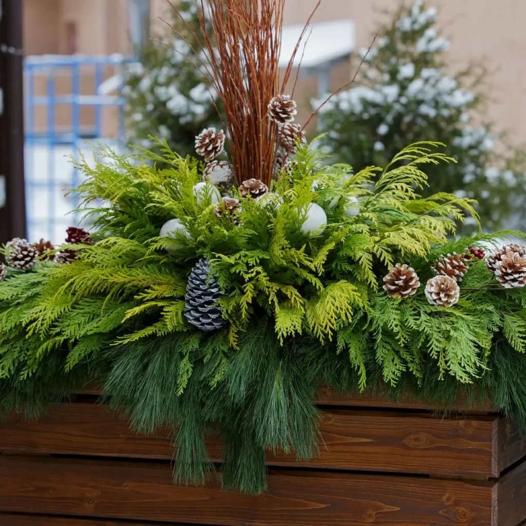 IMG-20171207-WA0001.jpg IMG-20171207-WA0001.jpg