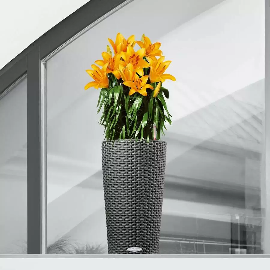 кашпо Cilindro Cottage