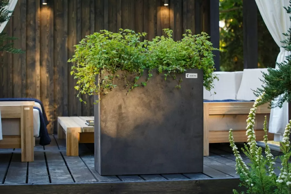 IMG-20180629-WA0015.jpg IMG-20180629-WA0015.jpg