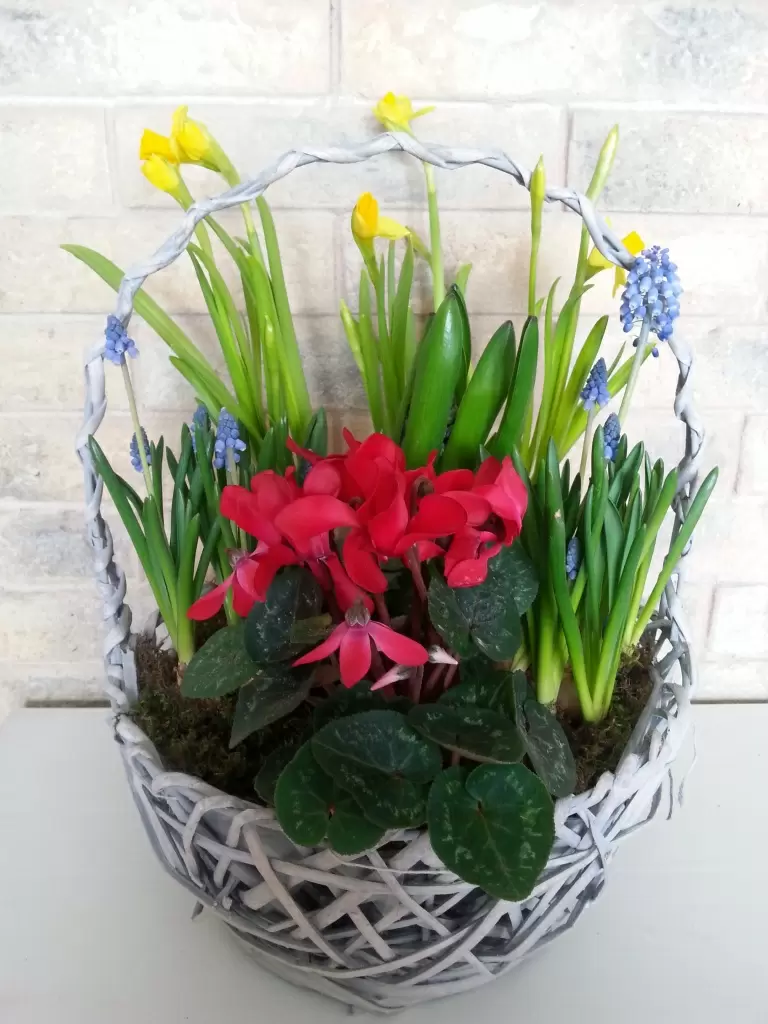 20180305_101052.jpg 20180305_101052.jpg