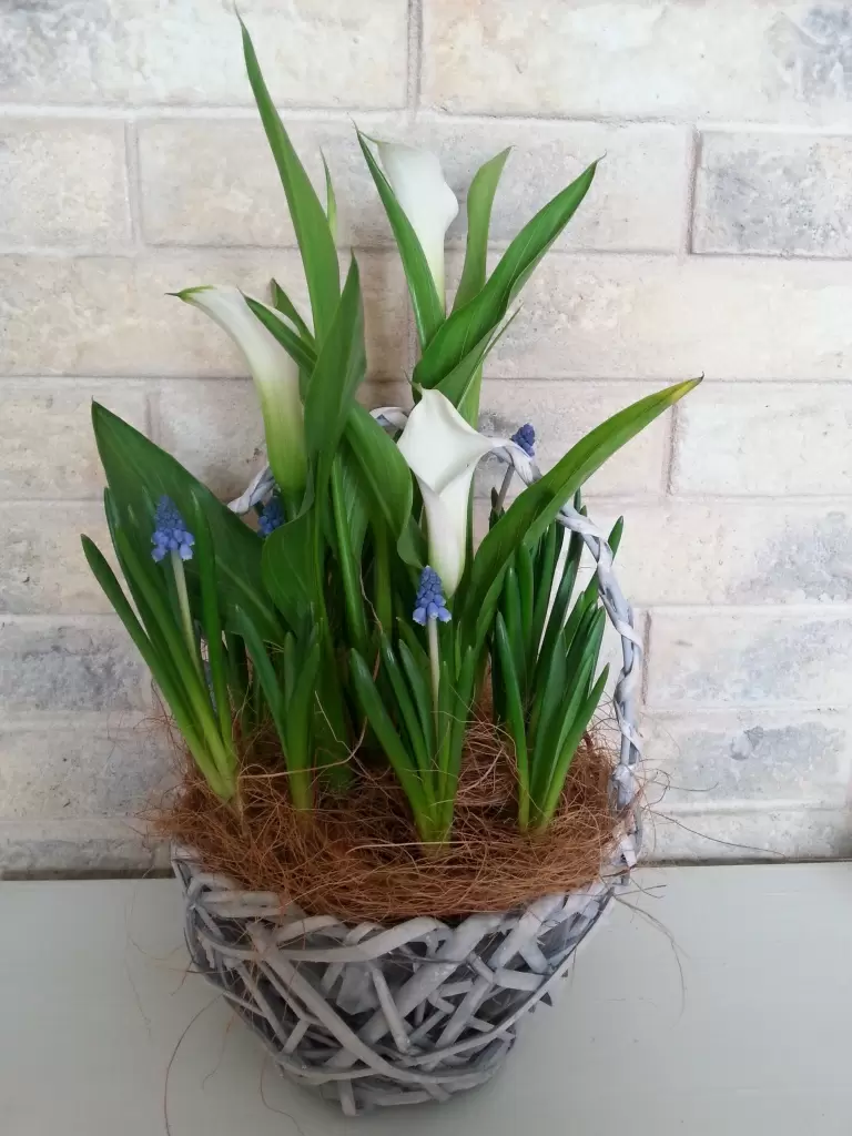 20180305_100739.jpg 20180305_100739.jpg