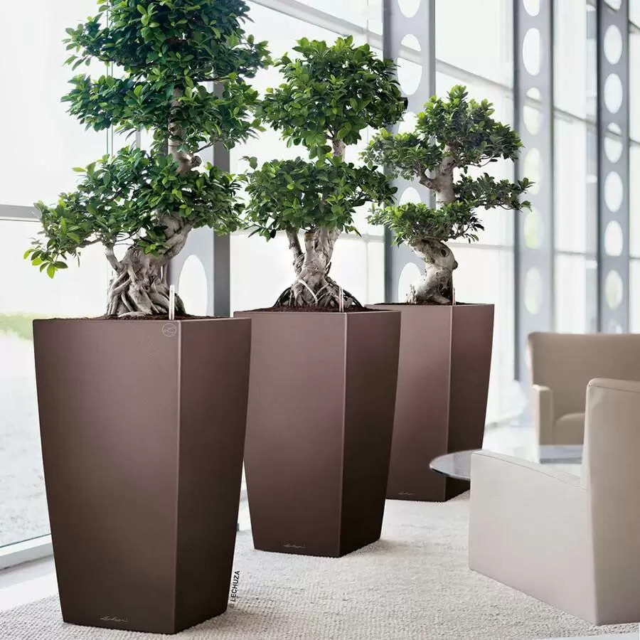 кашпо в цвете Espresso Metallic