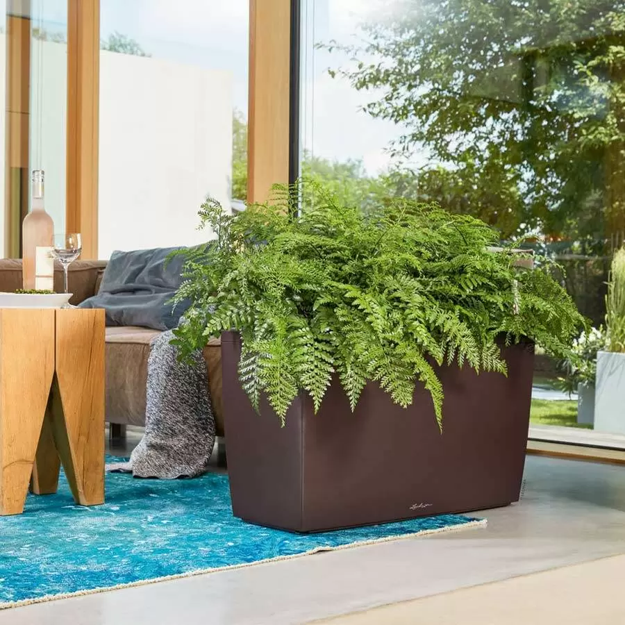 кашпо Лечуза в цвете Espresso Metallic