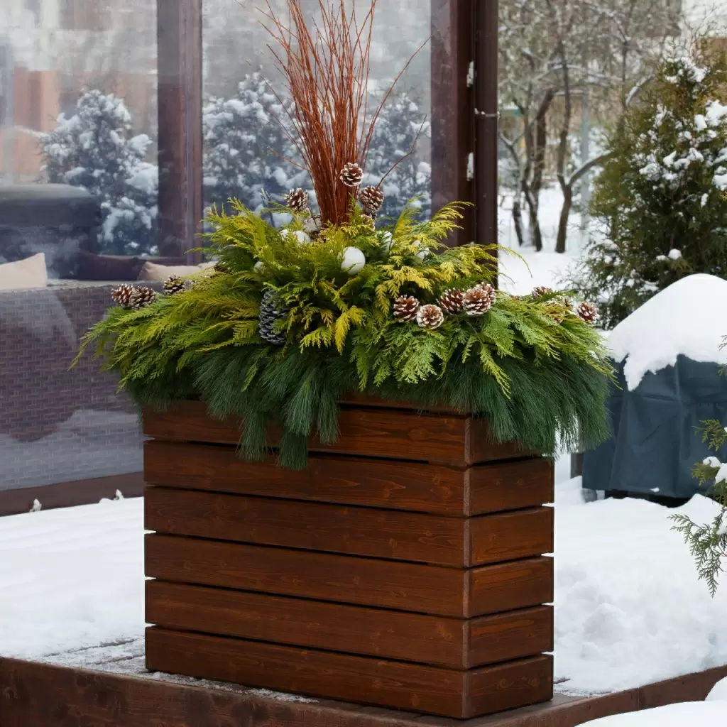 IMG-20171207-WA0003.jpg IMG-20171207-WA0003.jpg