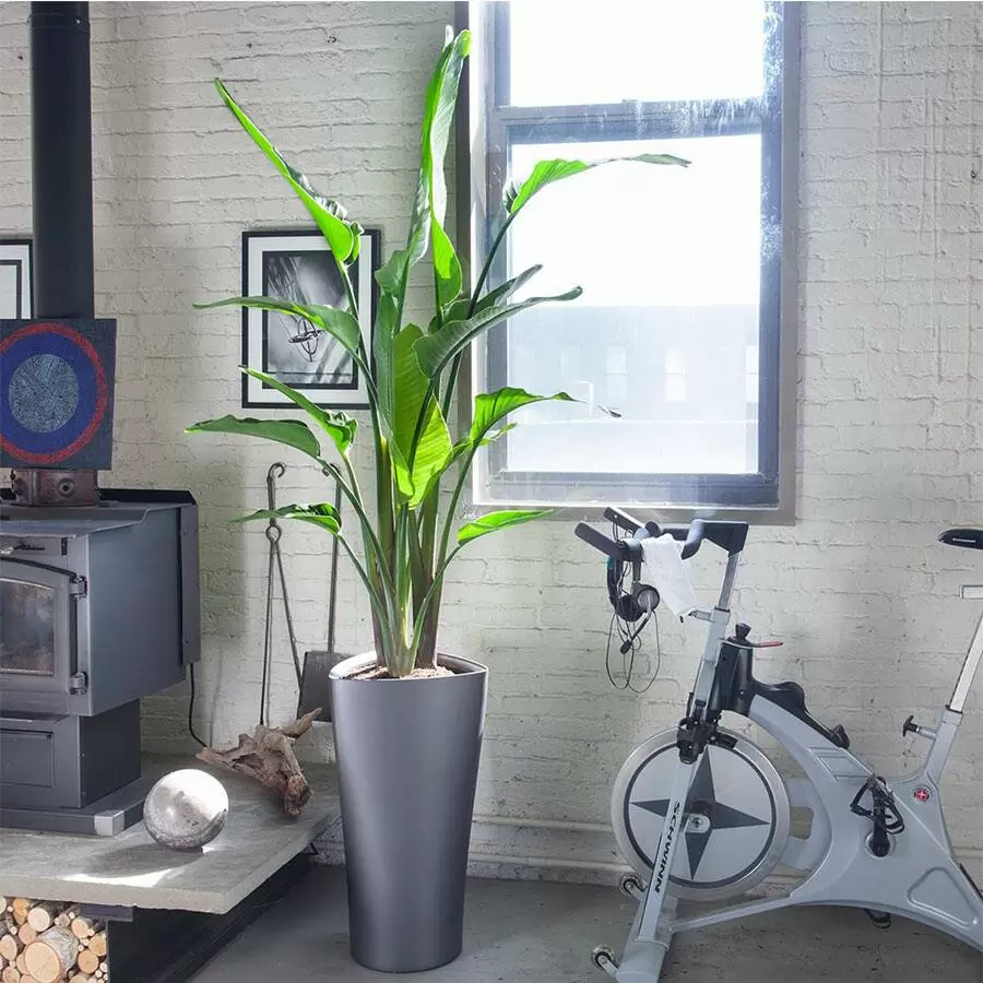 Lechuza DELTA_Premium_40