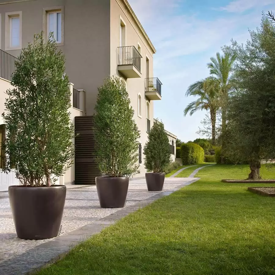 кашпо лечуза классико лс