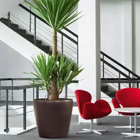 Кашпо Lechuza Classico LS