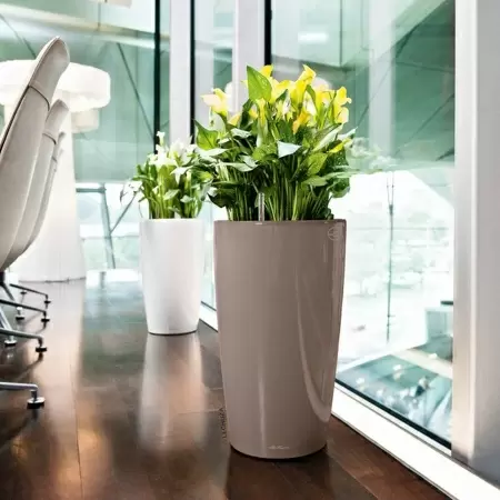 Кашпо Lechuza Rondo