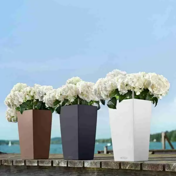 Кашпо Lechuza Cubico Color