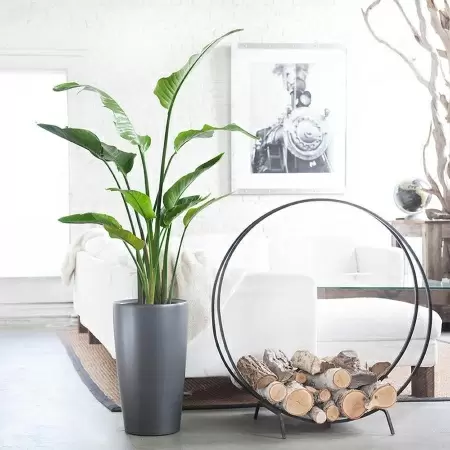 Кашпо Lechuza Rondo