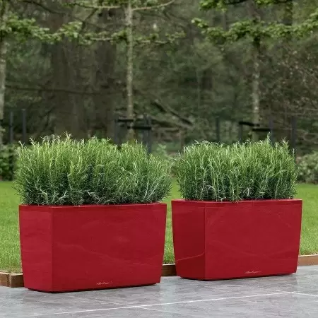 Кашпо Lechuza Cararo