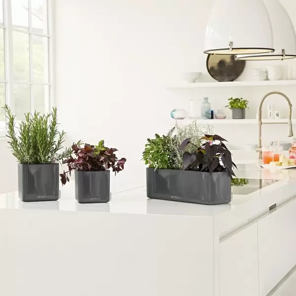 Кашпо Lechuza Cube Glossy