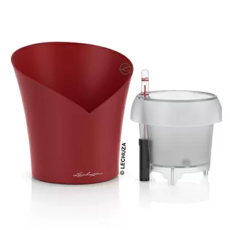 Кашпо Lechuza Orchidea