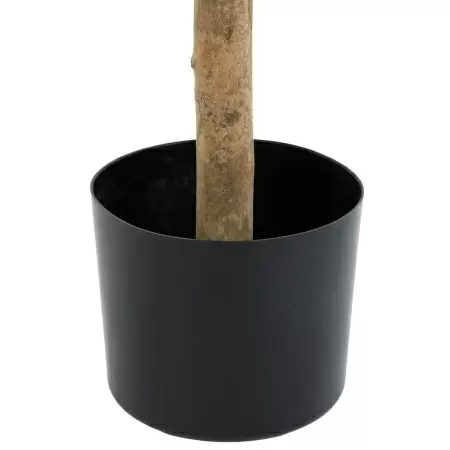 Лавр искусственное дерево