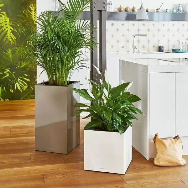 Кашпо Lechuza Canto Cube