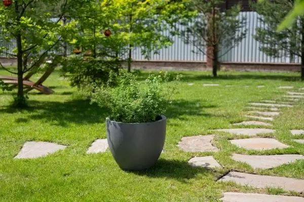 Цветочный горшок Round vase