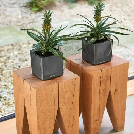 Кашпо Lechuza Cube Glossy