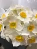 Нарциссы букет искусственный