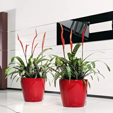 Кашпо Lechuza Classico LS