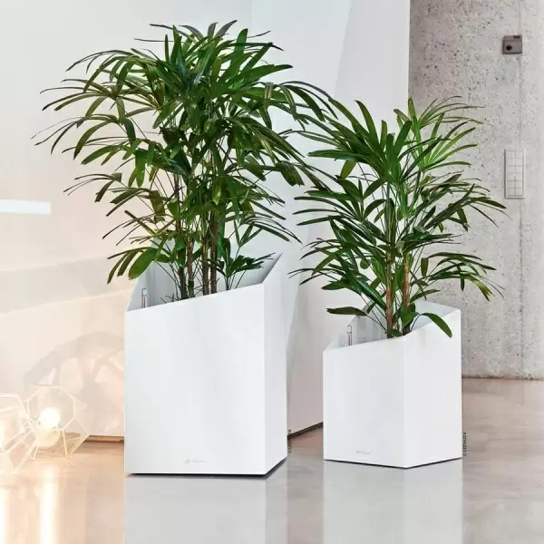 Кашпо Lechuza Cursivo Кашпо Lechuza Cursivo