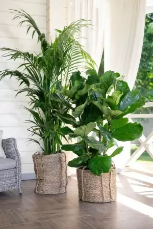 Кашпо плетеное Tower фото