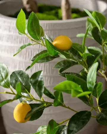 Лимон искусственное дерево