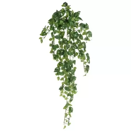Искусственная лиана Потос