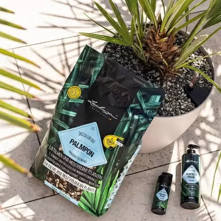 Субстрат Lechuza PALMPON